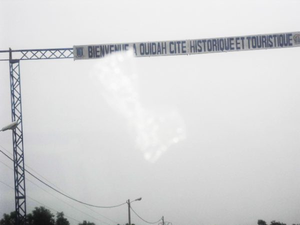 CIMG0823b