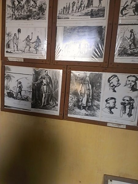IMAG1164