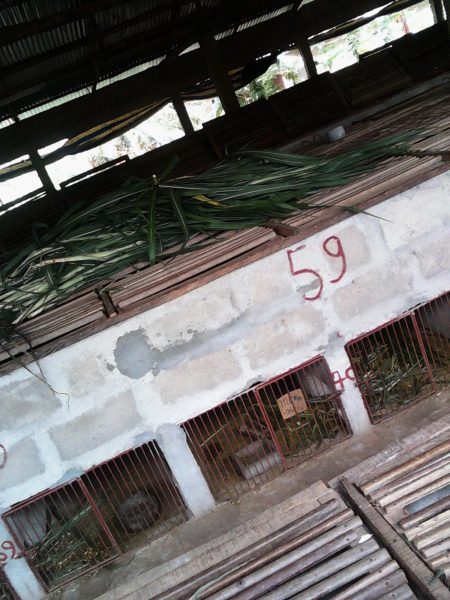 IMG_20140228_123033_0